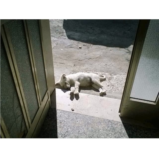 Mi Fido di Te - Immagine 1