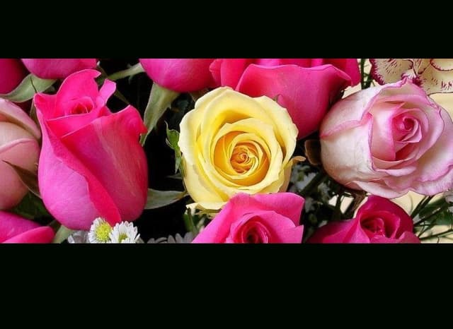 Molly Green - Immagine 1