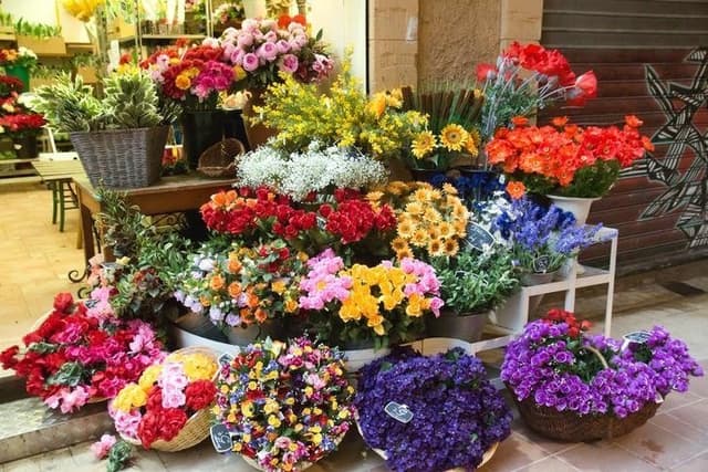 Molly Green - Immagine 2