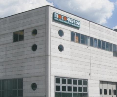 Motorverde - Immagine 2