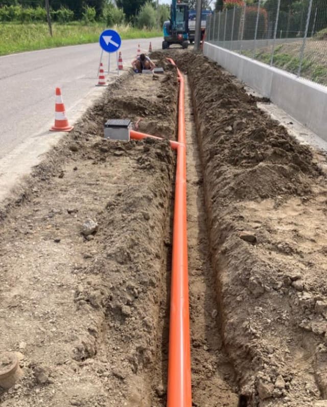 New Legend of Violato & Miriam srl - Immagine 2