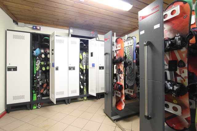 Noleggio Sci Ski Rent Pampeago - Immagine 1