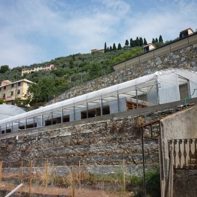 Novarino Lorena - Immagine 1