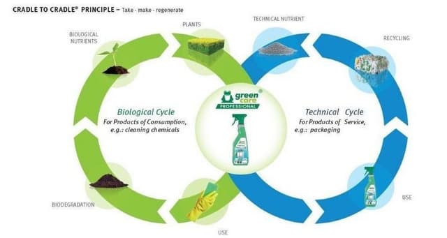 Nuova L.C. - Immagine 2