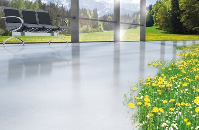 Nuova Moggia - Immagine 2