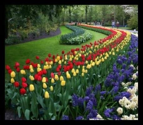 Opera Verde - Immagine 1