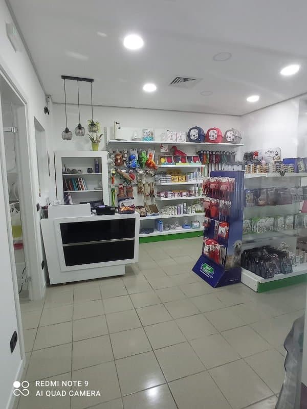 Orme di Sapone - Immagine 1