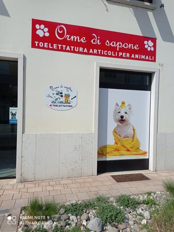 Orme di Sapone - Immagine 2