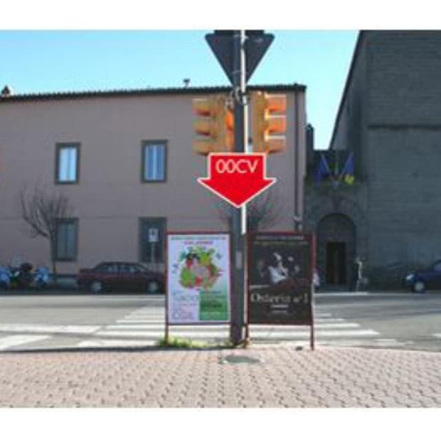 Panta Cz - Immagine 1