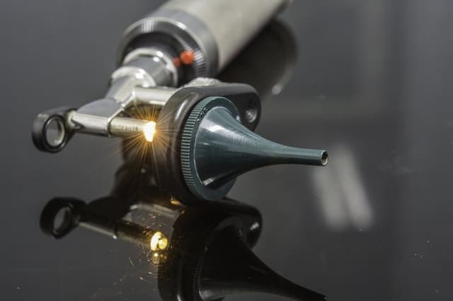 Pavignano Dott. Nicolo' - Immagine 2