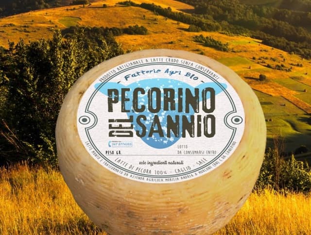 Pecorino del Sannio - Immagine 1