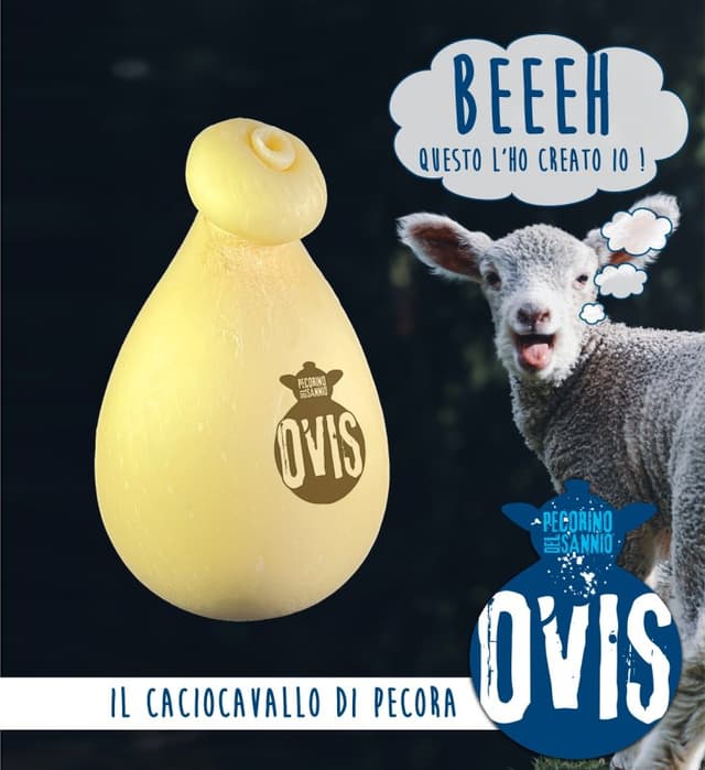 Pecorino del Sannio - Immagine 2