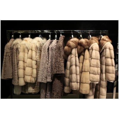 Pellicceria Pollastri - Immagine 1