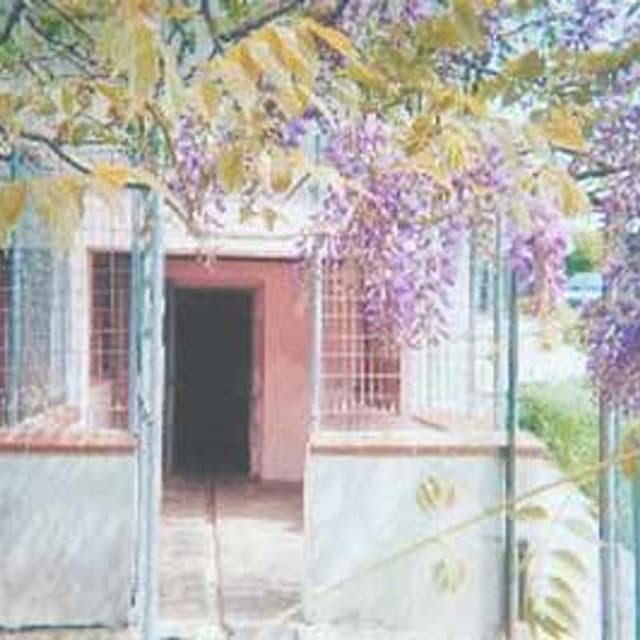 Pensione per Animali dall'Ape alla Zebra - Immagine 1