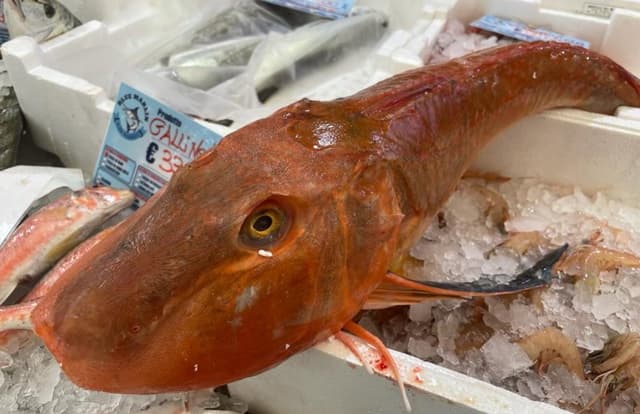 Pescheria Blue Marlin Fish Market - Immagine 1