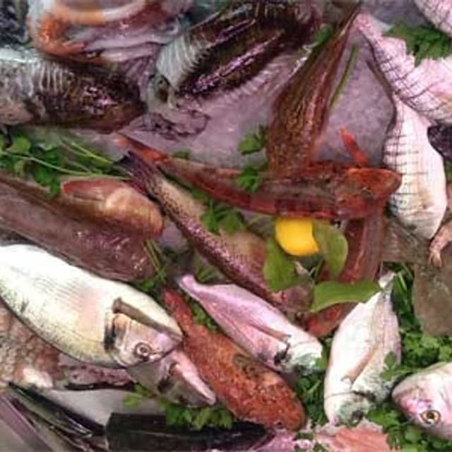 Pescheria Il Piscione - Immagine 2