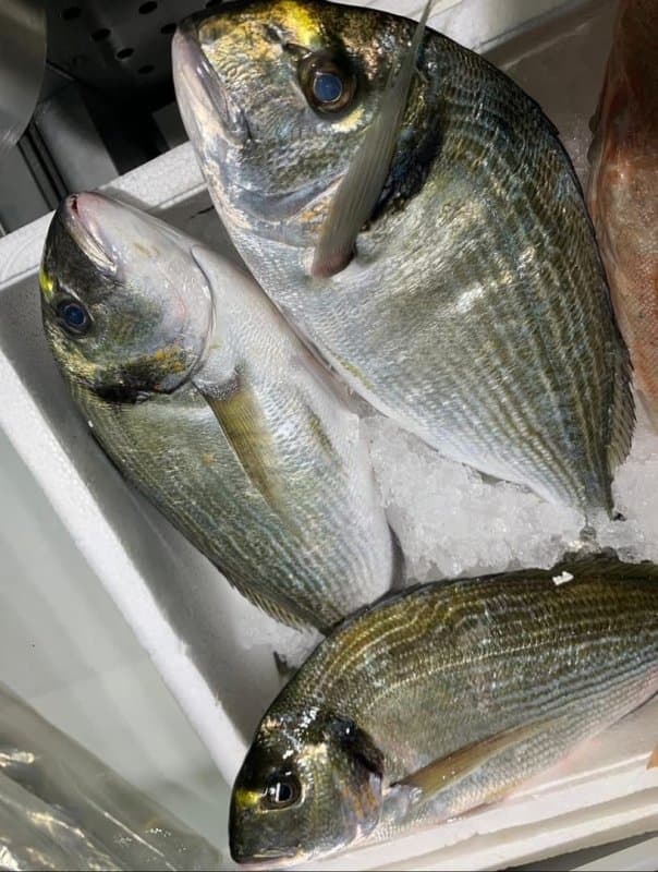 Pescheria Valmare - Immagine 2