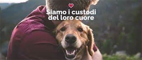 Pets on Paradise - Immagine 1