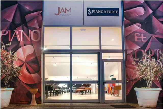 Piano e Forte - Vendita Noleggio Pianoforti - Immagine 1