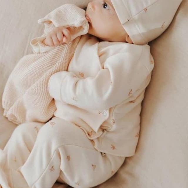 Piccoli Capricci - Immagine 2