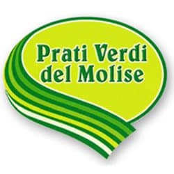 Prati Verdi del Molise - Immagine 1