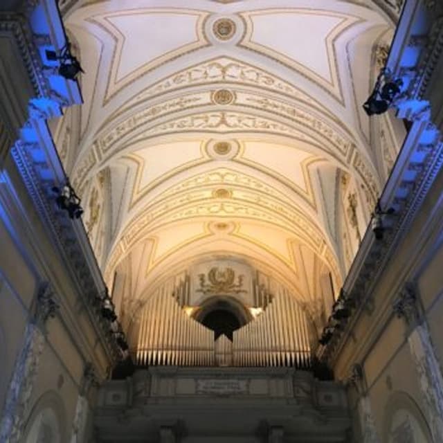 Provinciali Service - Immagine 1