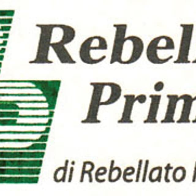 Rebellato Primo Pulitura Metalli - Immagine 1