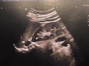 Rina Dott. Antonio - Immagine 1