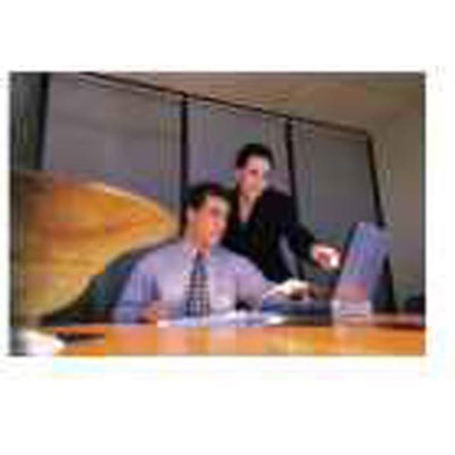 Royal Fin - Immagine 1