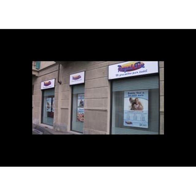 Royal Fin - Immagine 2