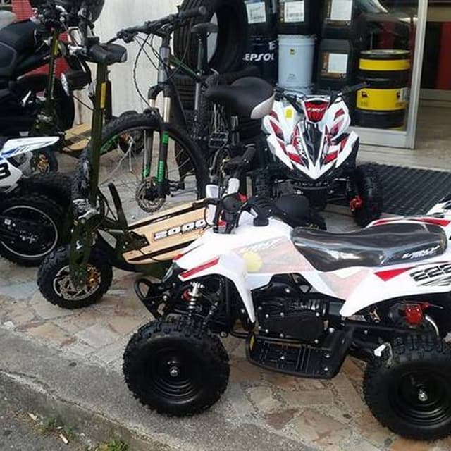 Safety Car - Immagine 2