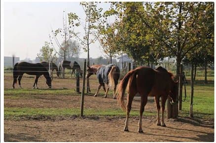 San Quintino Resort - Immagine 2