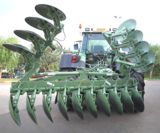 Santolla - Immagine 1