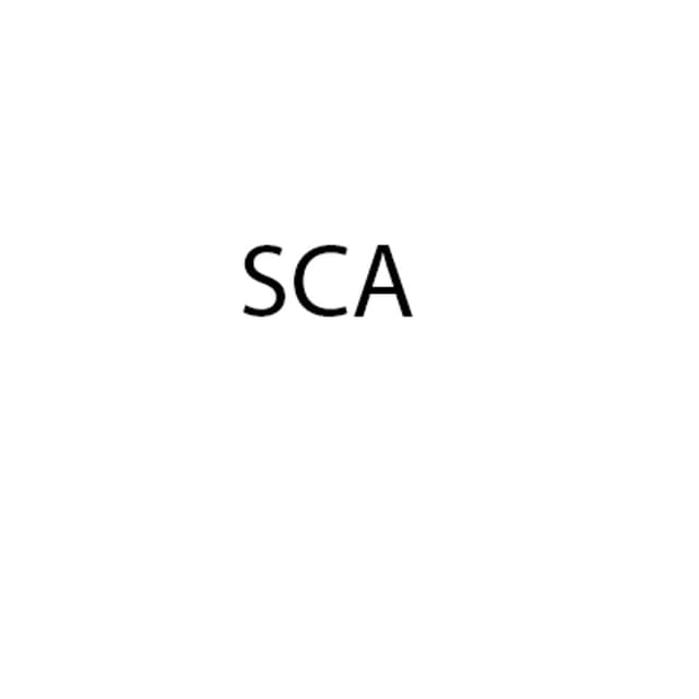 Sca - Immagine 2