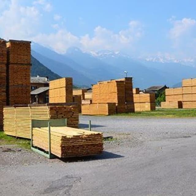 Segheria Ghilotti Giuseppe & Figli Srl - Immagine 2