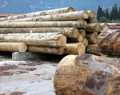 Segheria Leonardi - Immagine 1