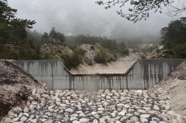 Selva Scavi - Immagine 2