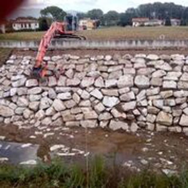 Serena Scavi - Immagine 1