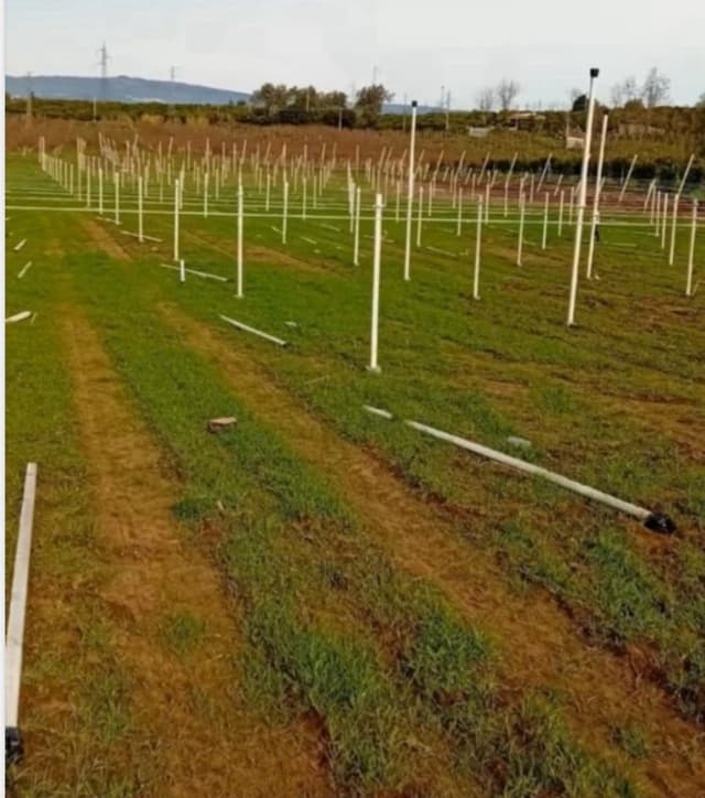 Service Srls - Immagine 1