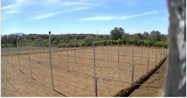 Service Srls - Immagine 2