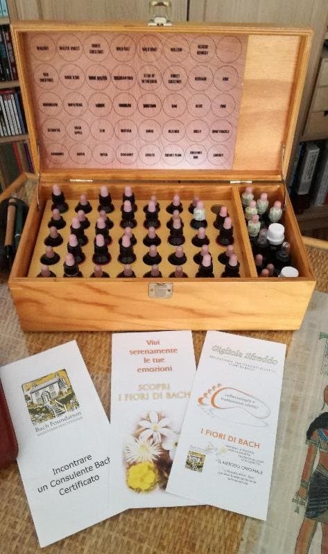 Sfreddo Gigliola - Immagine 1