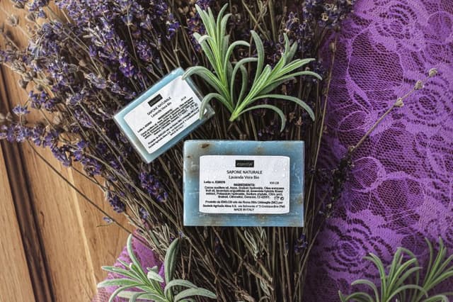 Società Agricola Alma S.S. - Immagine 2