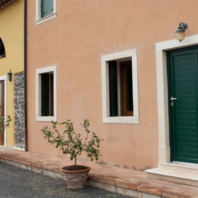 Società Agricola I Stefanini - Immagine 2