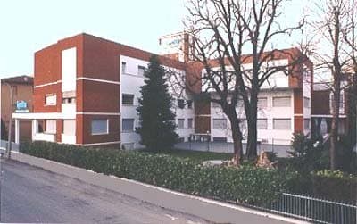 Spelta Pellicce - Immagine 2
