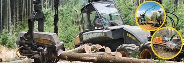 Spinelli Tancredi e C. - Immagine 2