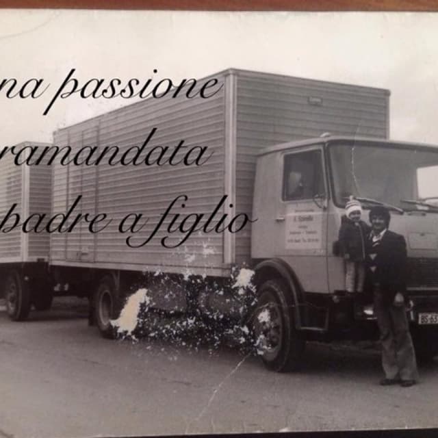 Spinello Traslochi Spc A.R.L. - Immagine 2