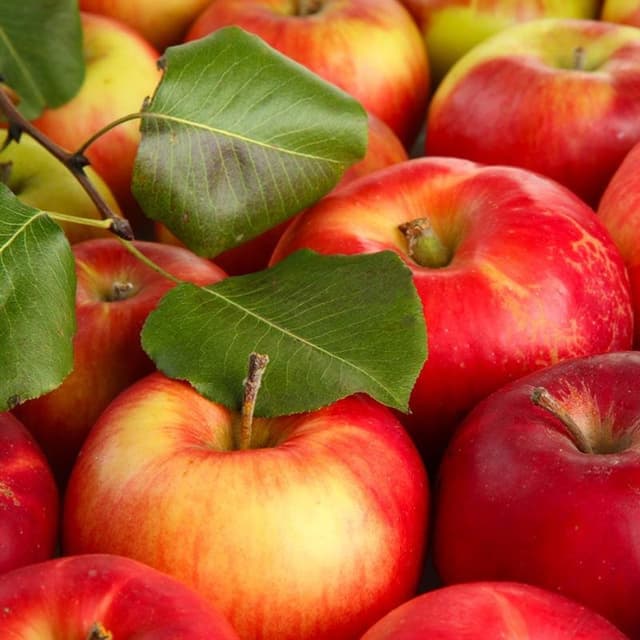 Supermercato della Frutta - Immagine 1