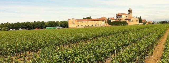 Tabarelli Vivai - Immagine 1