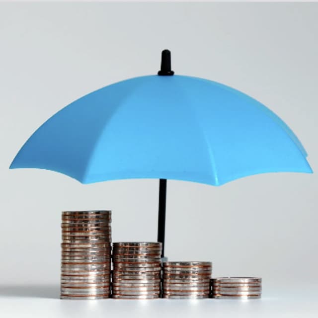 Team Carolo - Immagine 2