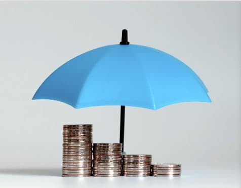 Team Carolo - Immagine 1